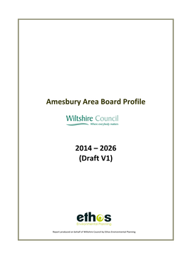 Amesbury Area Board Profile 2014 – 2026 (Draft