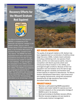 Recovery Efforts for the Mount Graham Red Squirrel.Pdf