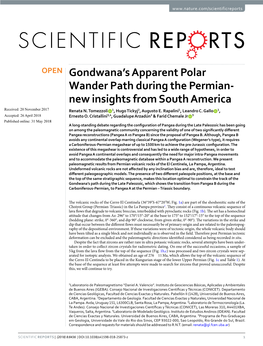 Gondwana's Apparent Polar Wander Path During the Permian-New