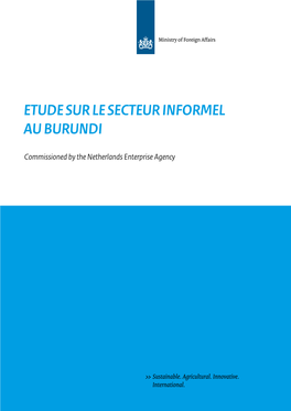 Etude Sur Le Secteur Informel Au Burundi