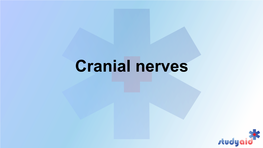 Cranial Nerves