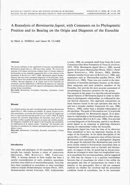 Fagesii, with Comments on Its Phylogenetic Bearing on the Origin