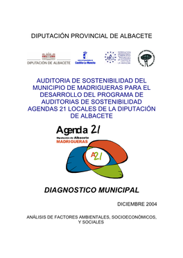 Diagnosis Municipal