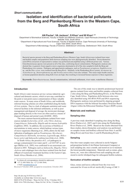 Isolation and Identification of Bacterial Pollutants from the Berg and Plankenburg Rivers in the Western Cape, South Africa