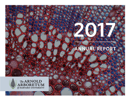 Annual Report