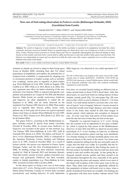 New Case of Fruit Eating Observation in Podarcis Siculus (Rafinesque-Schmaltz, 1810) (Lacertidae) from Croatia