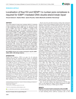 Localisation of Nup153 and SENP1 to Nuclear Pore Complexes Is Required for 53BP1-Mediated DNA Double-Strand Break Repair