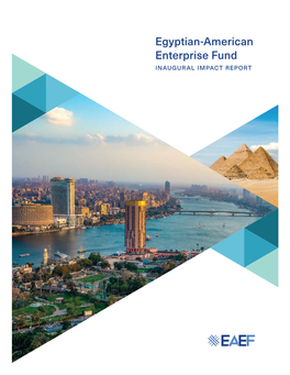 Egyptian-American Enterprise Fund Inaugural Impact Report Header