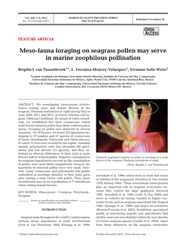 Meso-Fauna Foraging on Seagrass Pollen May Serve in Marine Zoophilous Pollination