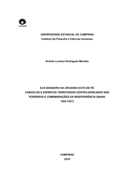 UNIVERSIDADE ESTADUAL DE CAMPINAS Instituto De Filosofia E Ciências Humanas