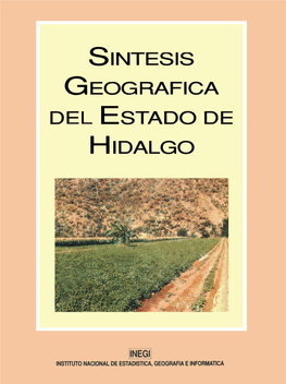 Síntesis Geográfica Del Estado De Hidalgo