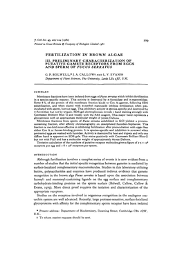 Fertilization in Brown Algae Iii. Preliminary Characterization of Putative Gamete Receptors from Eggs and Sperm of Fucus Serratus