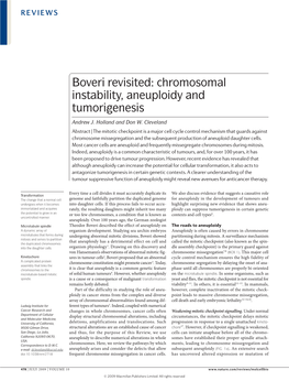 Chromosomal Instability, Aneuploidy and Tumorigenesis