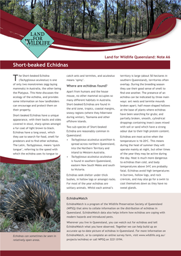 Short-Beaked Echidnas