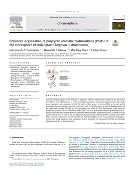 Enhanced Degradation of Polycyclic Aromatic Hydrocarbons (Pahs) in the Rhizosphere of Sudangrass (Sorghum � Drummondii)