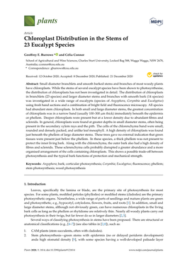 Chloroplast Distribution in the Stems of 23 Eucalypt Species