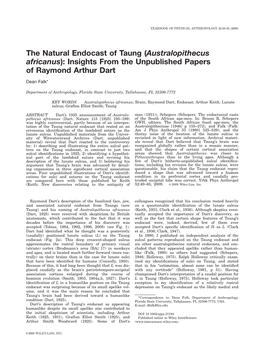 The Natural Endocast of Taung (Australopithecus Africanus): Insights from the Unpublished Papers of Raymond Arthur Dart Dean Falk*