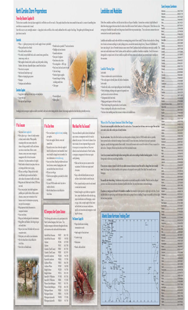 North Carolina Storm Preparedness Landslides and Mudslides Alexander