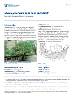 Styrax Japonicus: Japanese Snowbell1 Edward F