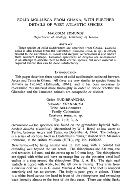 Eolid Mollusca from Ghana, with Further Details of West Atlantic Species