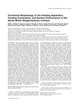 Functional Morphology of the Feeding Apparatus, Feeding Constraints, and Suction Performance in the Nurse Shark Ginglymostoma Cirratum