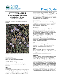 Plant Guide for Western Aster (Symphyotrichum Ascendens)