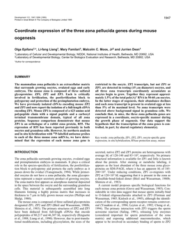 Coordinate Expression of the Three Zona Pellucida Genes During Mouse Oogenesis