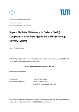 Complexes As Anticancer Agents and Their Use in Drug Delivery Systems