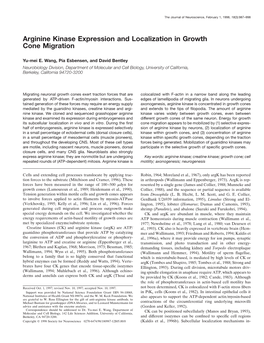 Arginine Kinase Expression and Localization in Growth Cone Migration