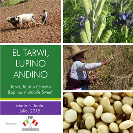 El Tarwi, Lupino Andino