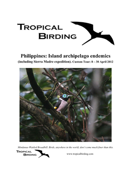 Philippines: Island Archipelago Endemics (Including Sierra Madre Expedition)