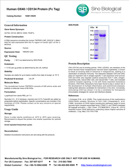 Human OX40 / CD134 Protein (Fc Tag)