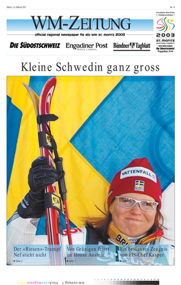 Kleine Schwedin Ganz Gross Ganz Schwedin Kleine