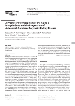 A Promoter Polymorphism of the Alpha 8 Integrin Gene and the Progression of Autosomal-Dominant Polycystic Kidney Disease