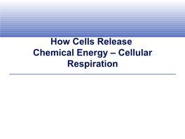 How Cells Release Chemical Energy – Cellular Respiration Overview of Cellular Respiration