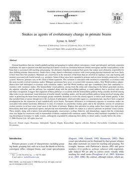 Snakes As Agents of Evolutionary Change in Primate Brains