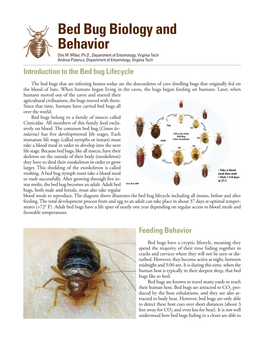 Bed Bug Biology and Behavior Dini M