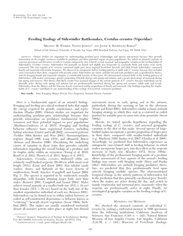 Feeding Ecology of Sidewinder Rattlesnakes, Crotalus Cerastes (Viperidae)