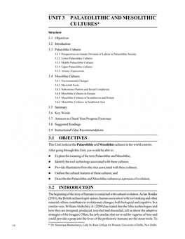 Unit 3 Palaeolithic and Mesolithic Cultures*