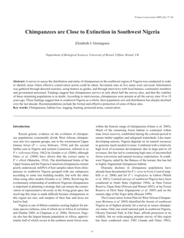 Chimpanzees Are Close to Extinction in Southwest Nigeria