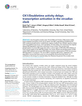 CK1/Doubletime Activity Delays Transcription Activation in The