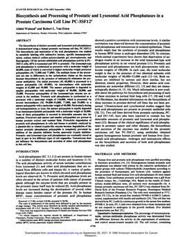 Biosynthesis and Processing of Prostatic and Lysosomal Acid Phosphatases in a Prostate Carcinoma Cell Line PC-3SF121