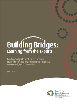 Building Bridges: Learning from the Experts