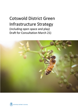 Cotswold District Green Infrastructure Strategy (Including Open Space and Play) Draft for Consultation March 21)