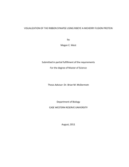 VISUALIZATION of the RIBBON SYNAPSE USING RIBEYE A-MCHERRY FUSION PROTEIN by Megan C. West Submitted in Partial Fulfillment of T
