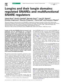 Longins and Their Longin Domains: Regulated Snares and Multifunctional SNARE Regulators