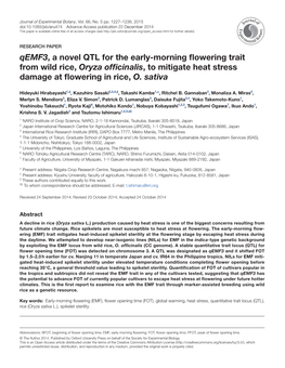 Qemf3, a Novel QTL for the Early-Morning Flowering Trait from Wild Rice, Oryza Officinalis, to Mitigate Heat Stress Damage at Flowering in Rice, O