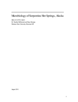 Microbiology of Serpentine Hot Springs, Alaska