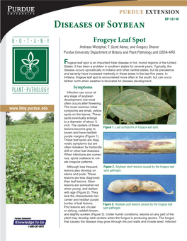 Frogeye Leaf Spot Andreas Westphal, T