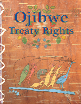 Ojibwe Treaty Rights